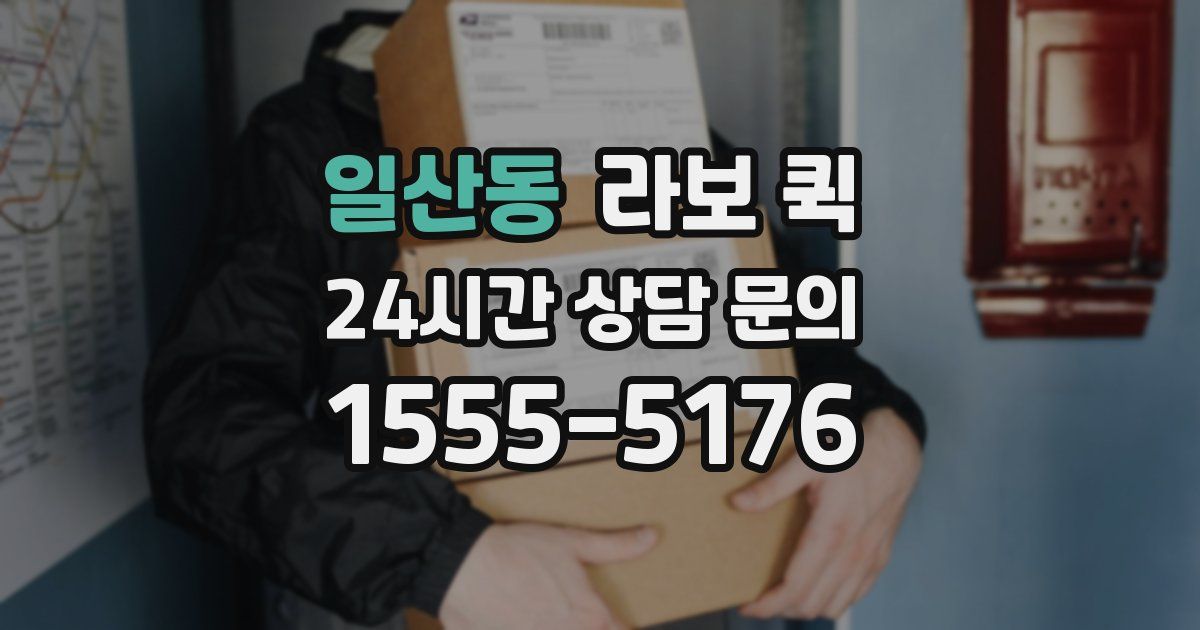 일산동 라보 퀵
