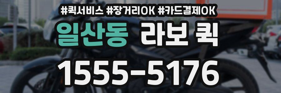 일산동 라보 퀵