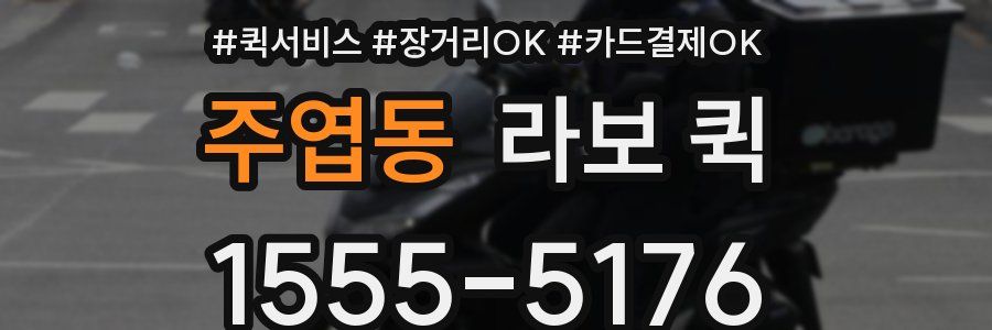 주엽동 라보 퀵