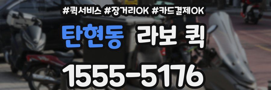 탄현동 라보 퀵