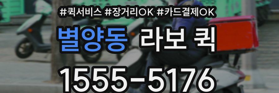 별양동 라보 퀵