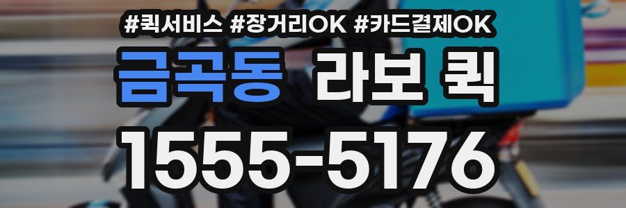 금곡동 라보 퀵