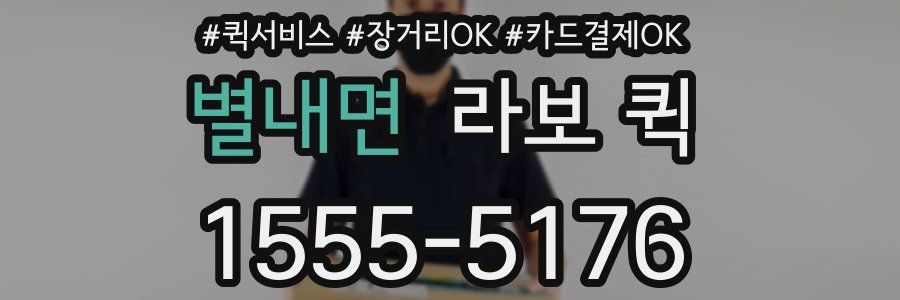 별내면 라보 퀵