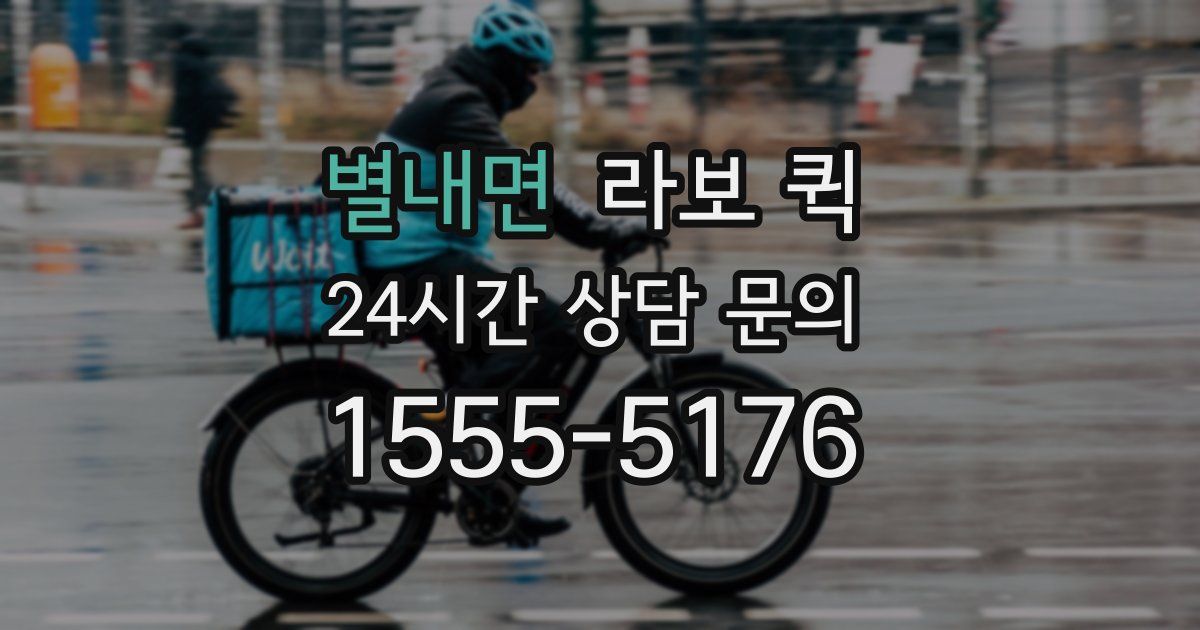별내면 라보 퀵