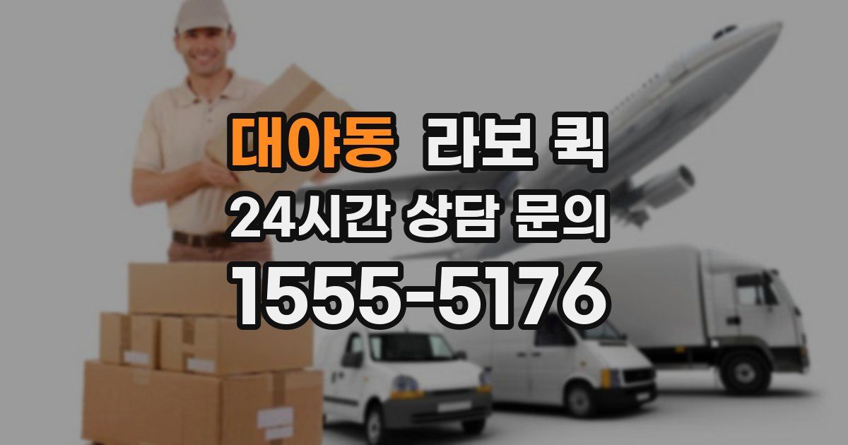 대야동 라보 퀵