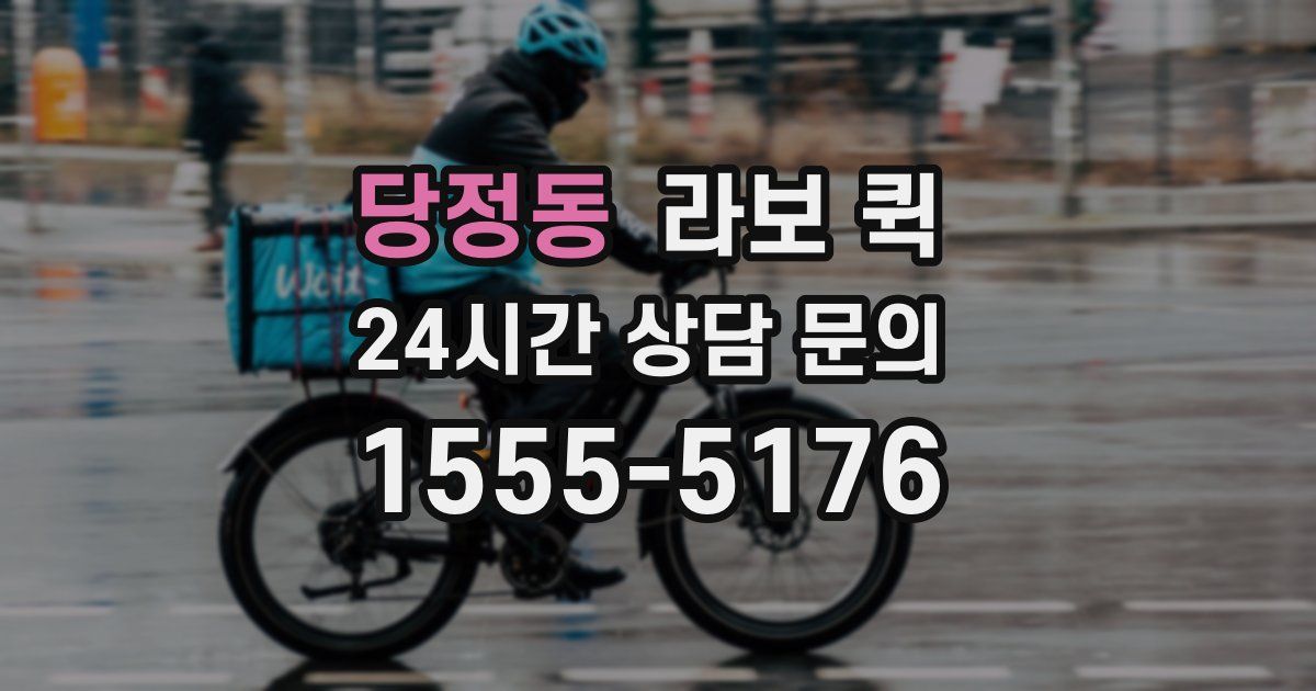 당정동 라보 퀵
