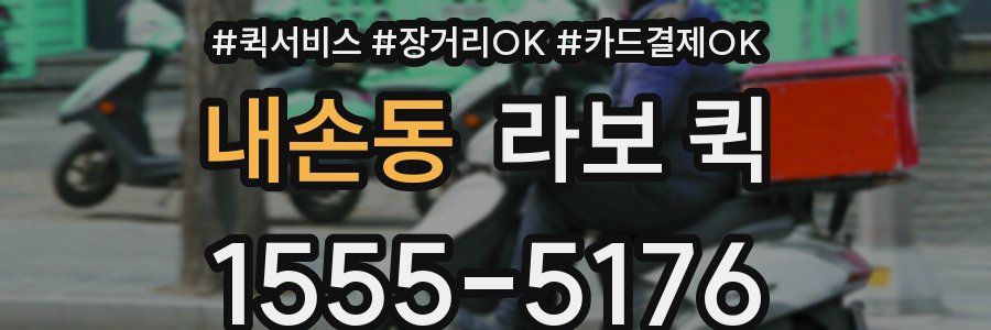 내손동 라보 퀵