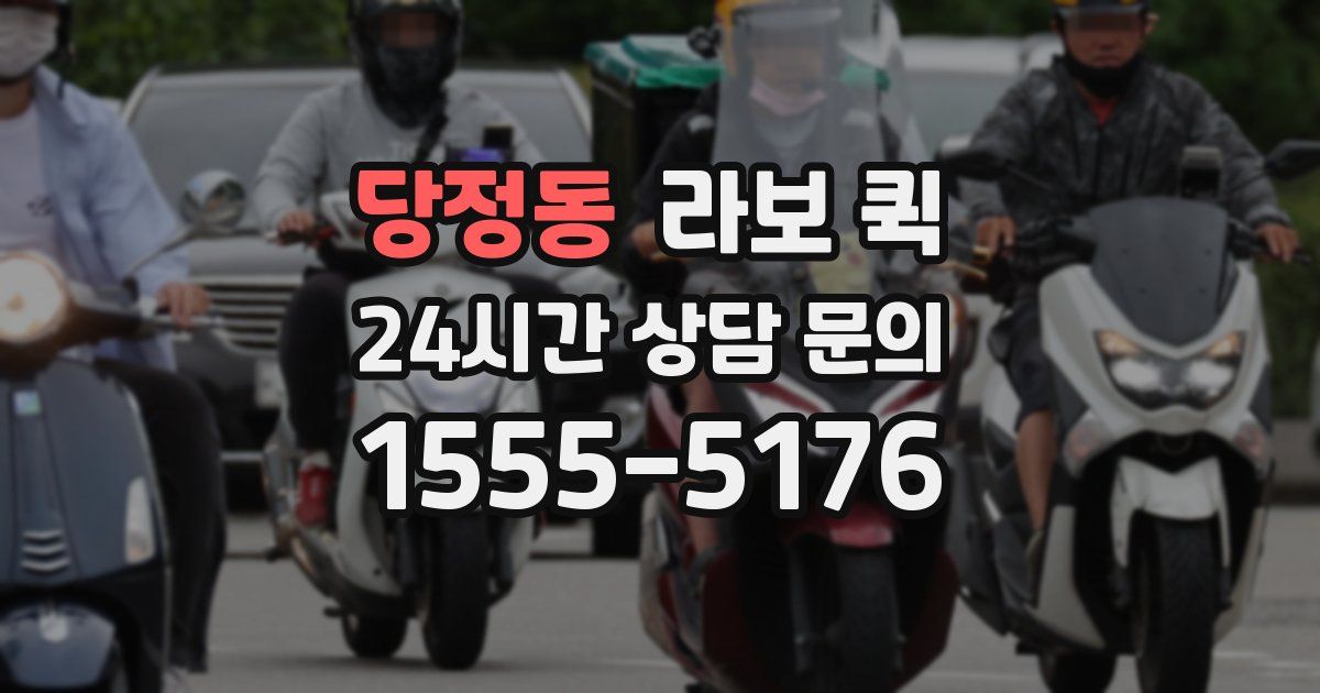 당정동 라보 퀵
