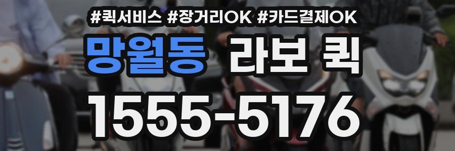망월동 라보 퀵
