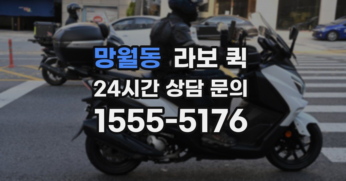 망월동 라보 퀵