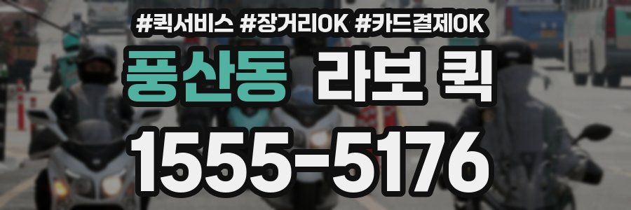 풍산동 라보 퀵