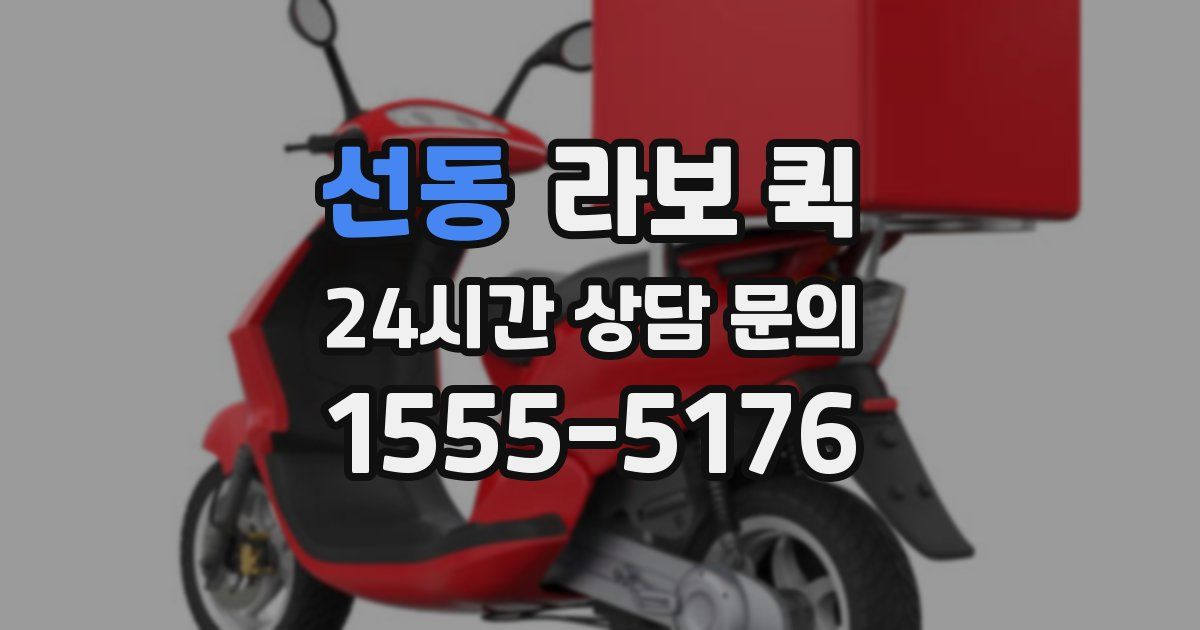 선동 라보 퀵
