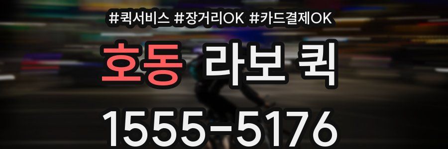 호동 라보 퀵