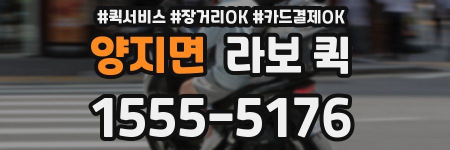 양지면 라보 퀵