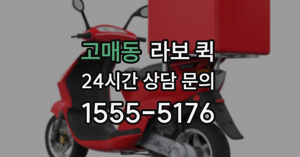 고매동 라보 퀵