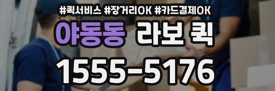 야동동 라보 퀵