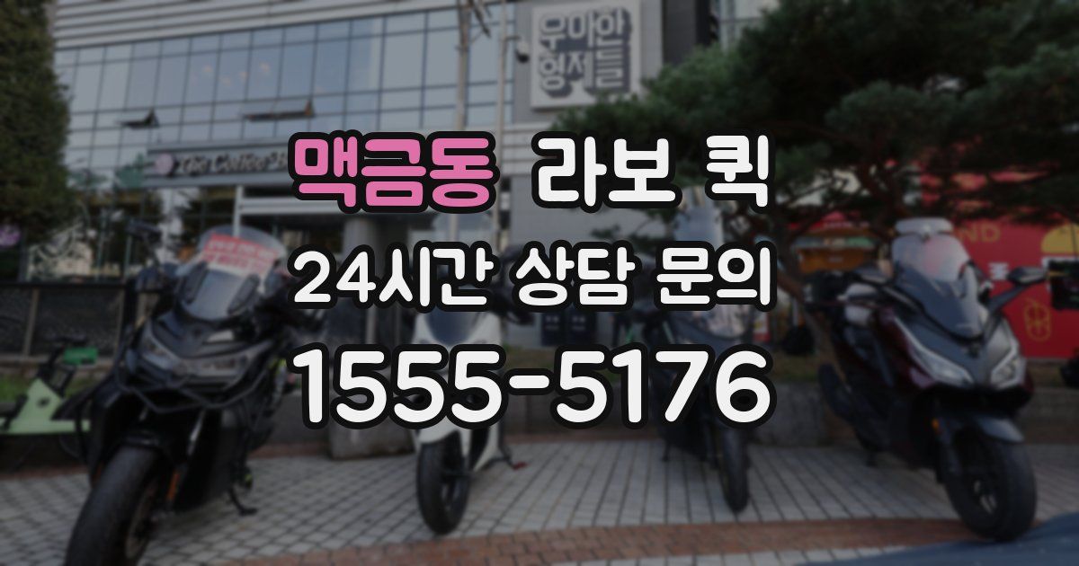 맥금동 라보 퀵