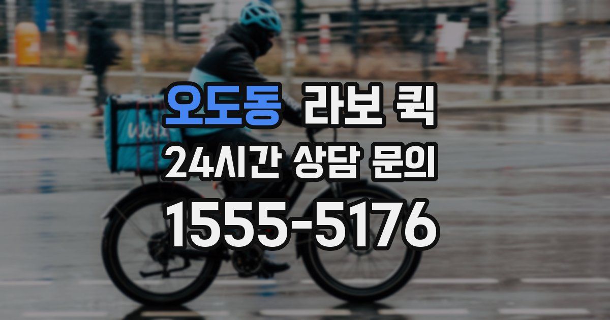 오도동 라보 퀵