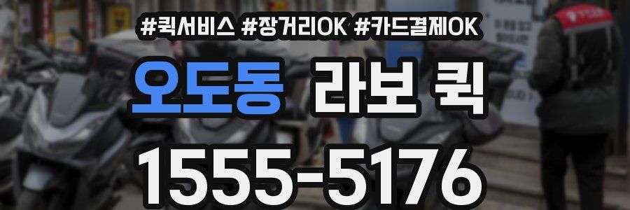 오도동 라보 퀵