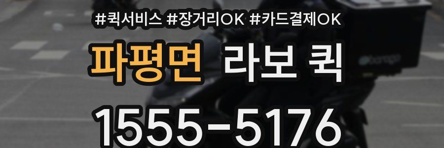 파평면 라보 퀵