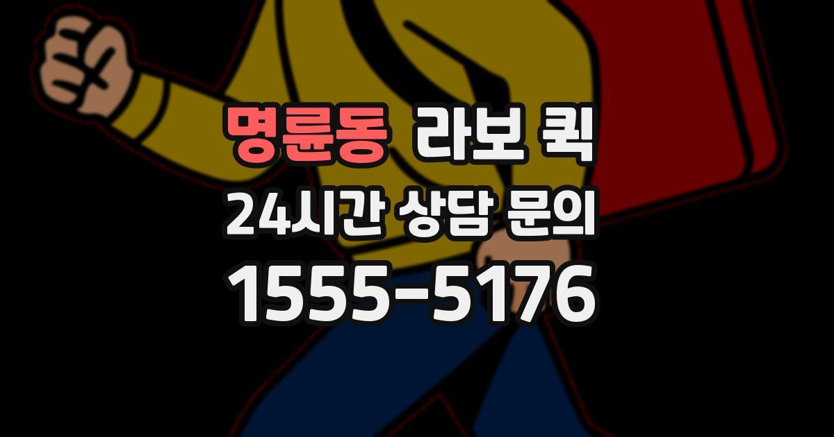 명륜동 라보 퀵