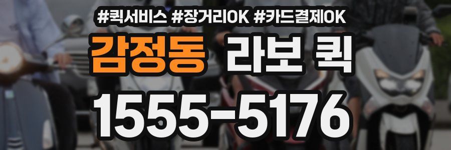 감정동 라보 퀵