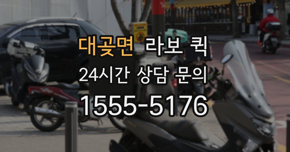 대곶면 라보 퀵