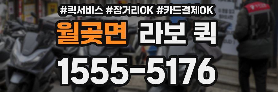 월곶면 라보 퀵
