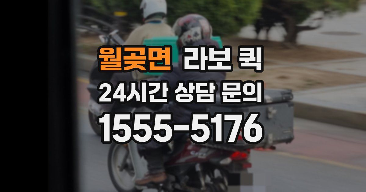 월곶면 라보 퀵