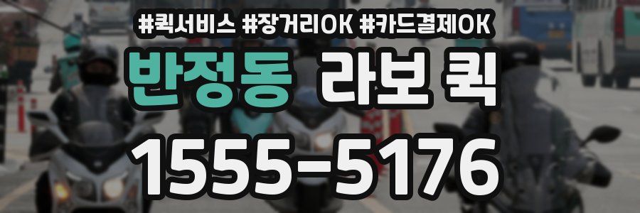 반정동 라보 퀵