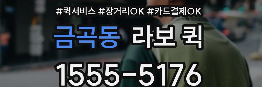 금곡동 라보 퀵