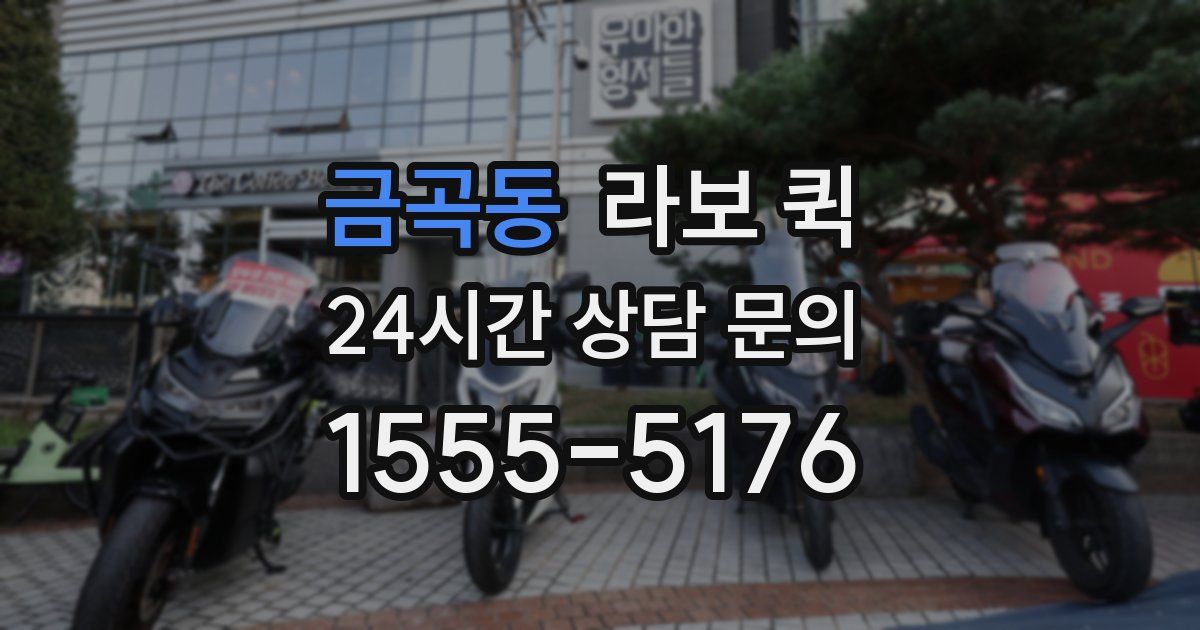 금곡동 라보 퀵