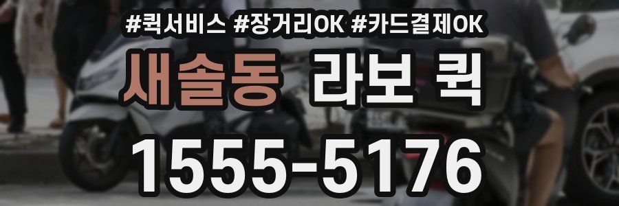 새솔동 라보 퀵