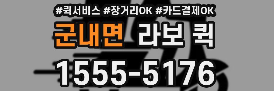 군내면 라보 퀵