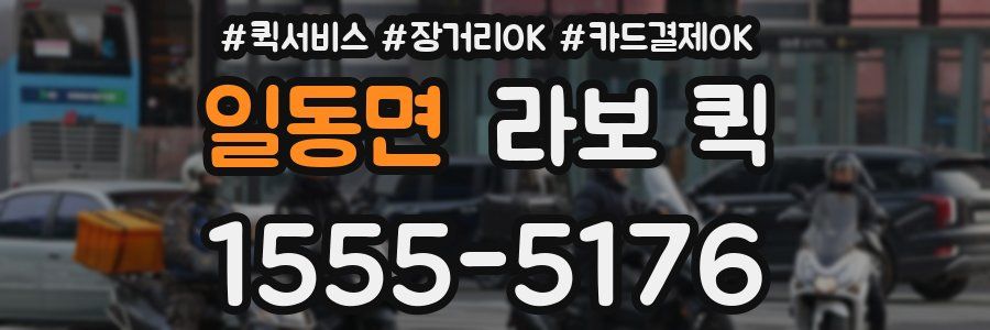 일동면 라보 퀵