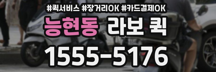 능현동 라보 퀵