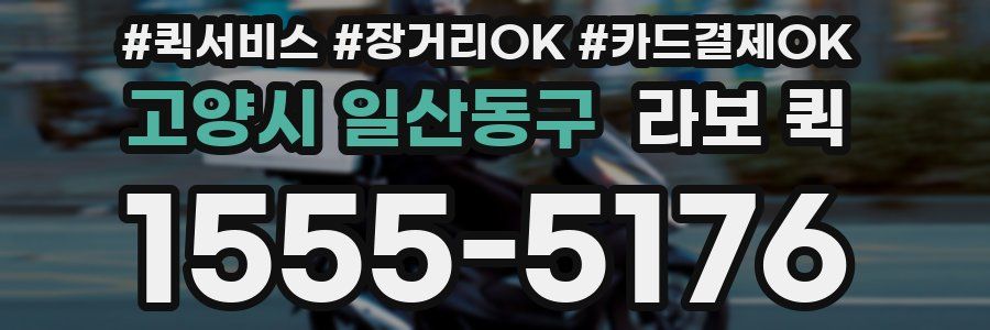 고양시 일산동구 라보 퀵