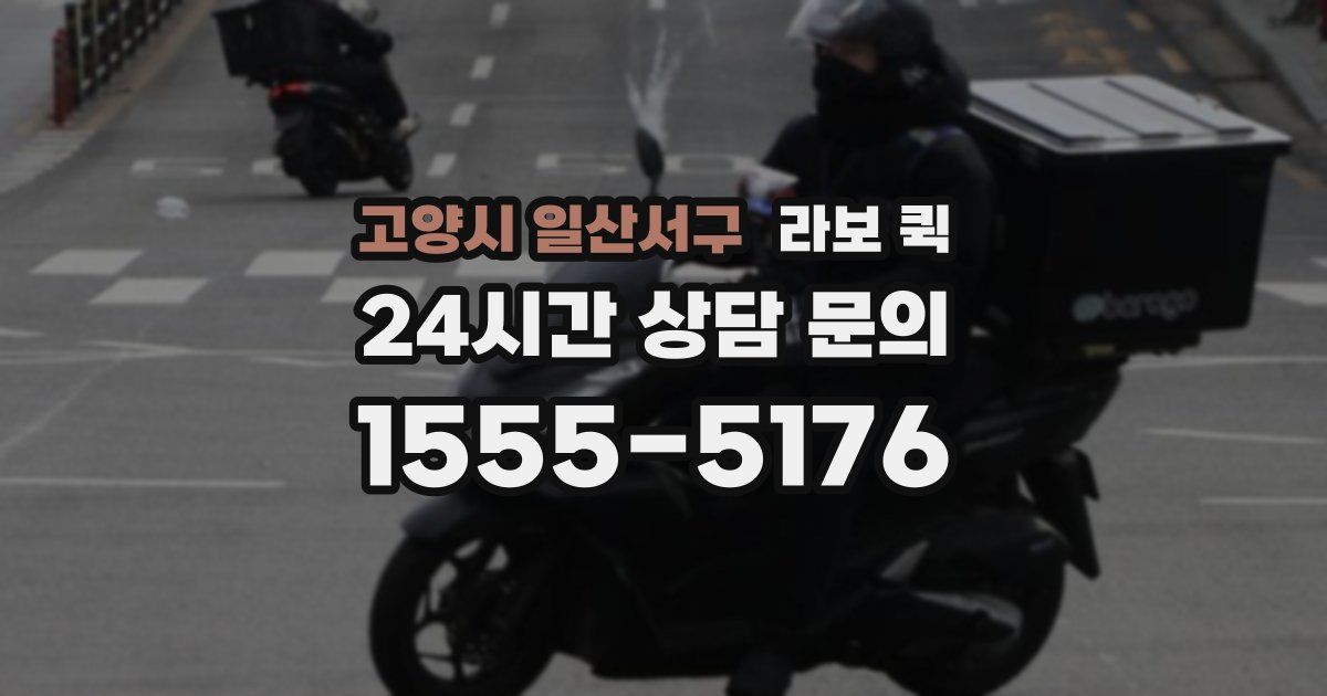 고양시 일산서구 라보 퀵
