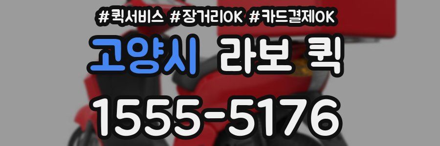 고양시 라보 퀵