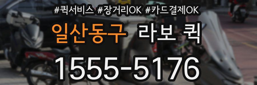 일산동구 라보 퀵