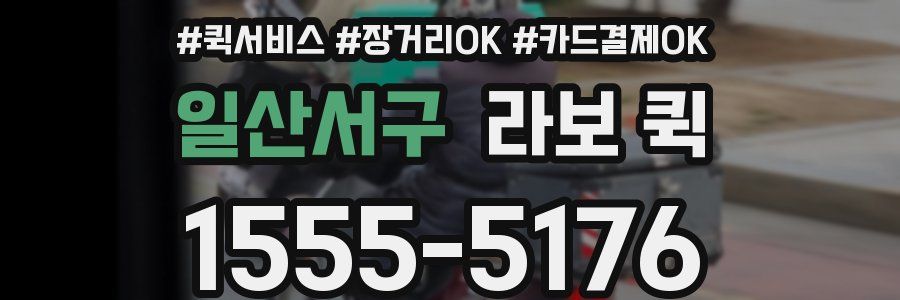 일산서구 라보 퀵