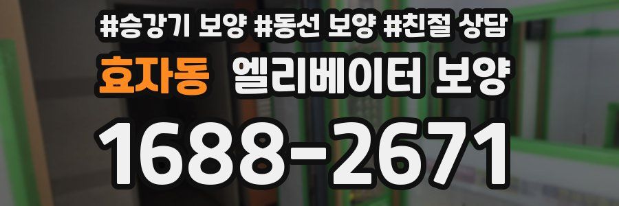 효자동 엘리베이터 보양
