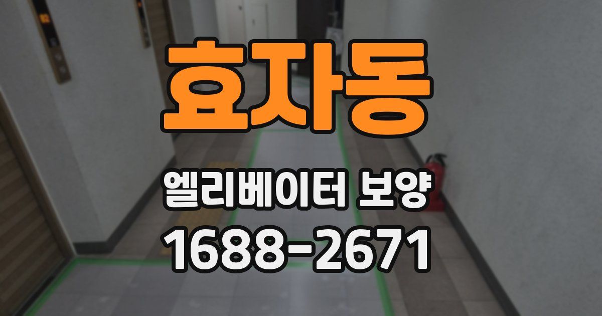 효자동 엘리베이터 보양