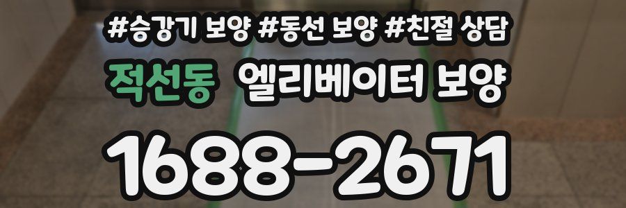 적선동 엘리베이터 보양
