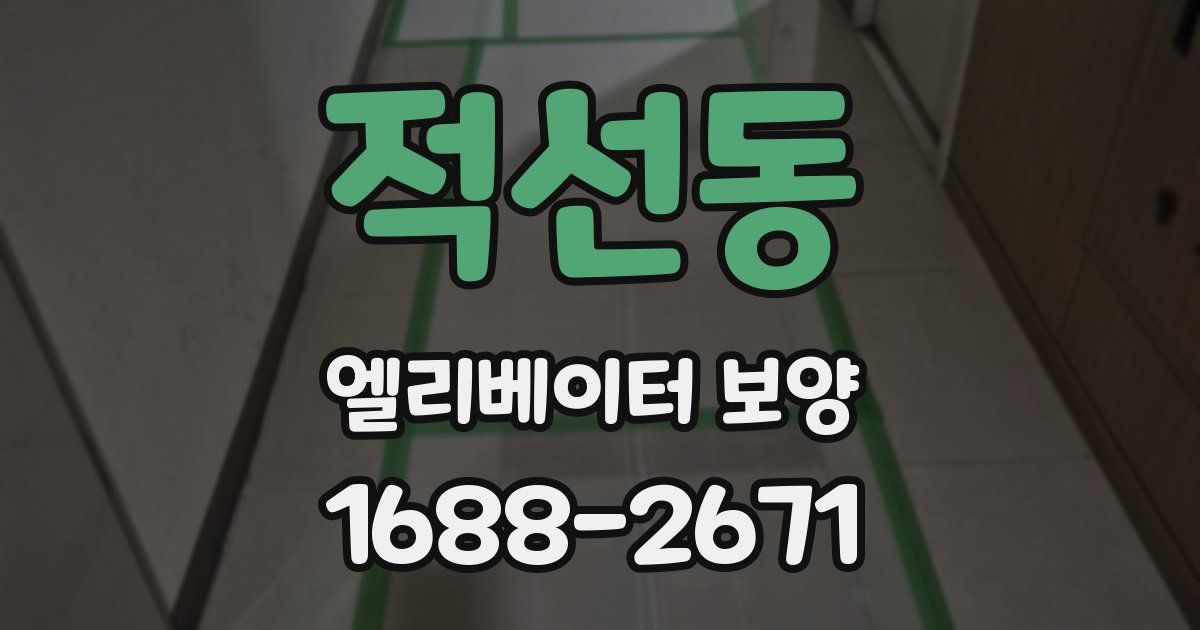 적선동 엘리베이터 보양