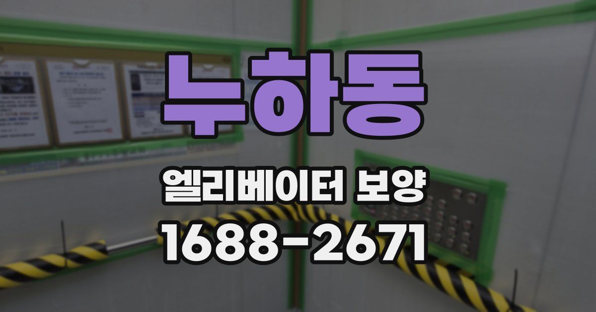 누하동 엘리베이터 보양