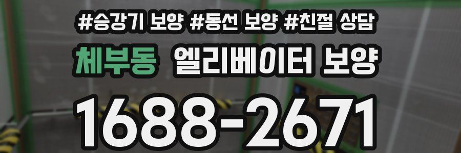 체부동 엘리베이터 보양