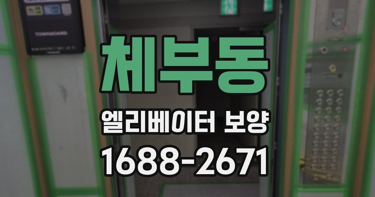 체부동 엘리베이터 보양