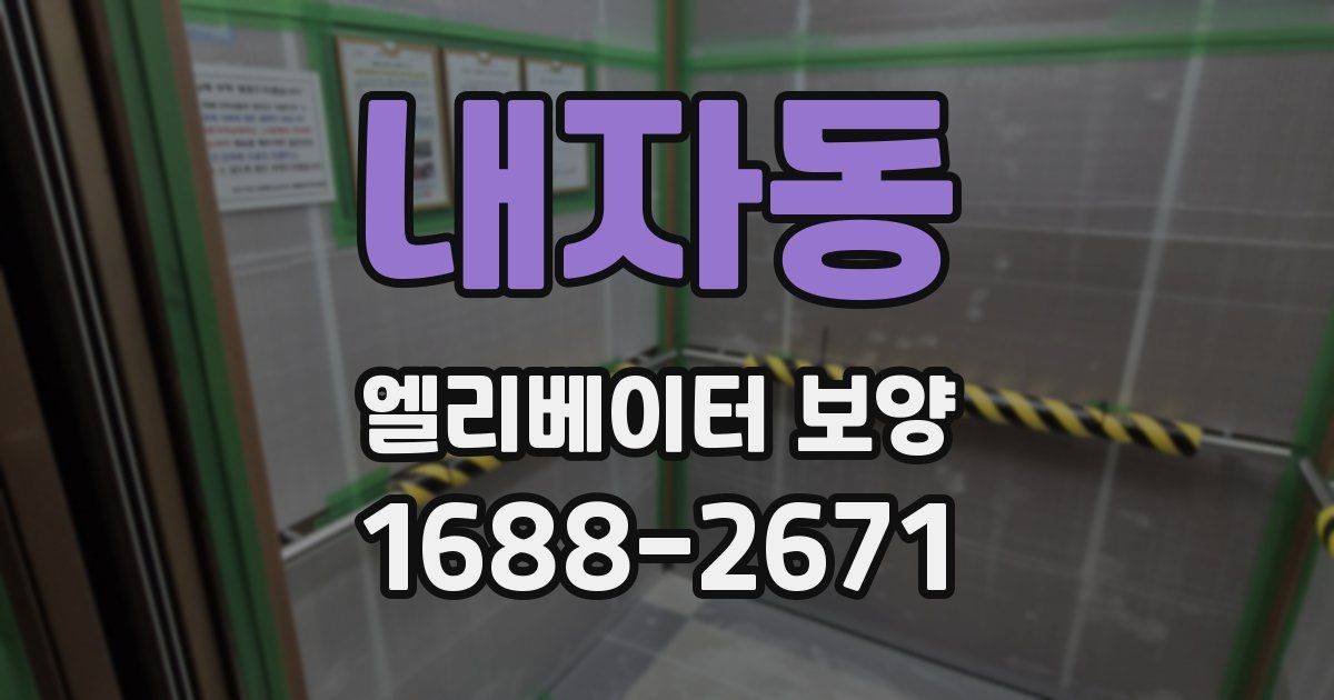 내자동 엘리베이터 보양