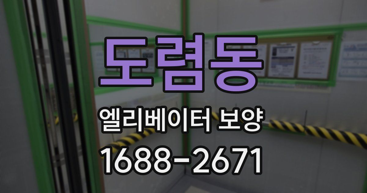 도렴동 엘리베이터 보양